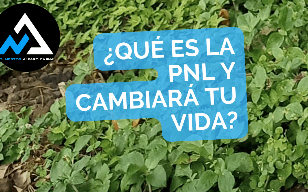 ¿Qué es la PNL y cómo puede ayudarte a cambiar tu vida?